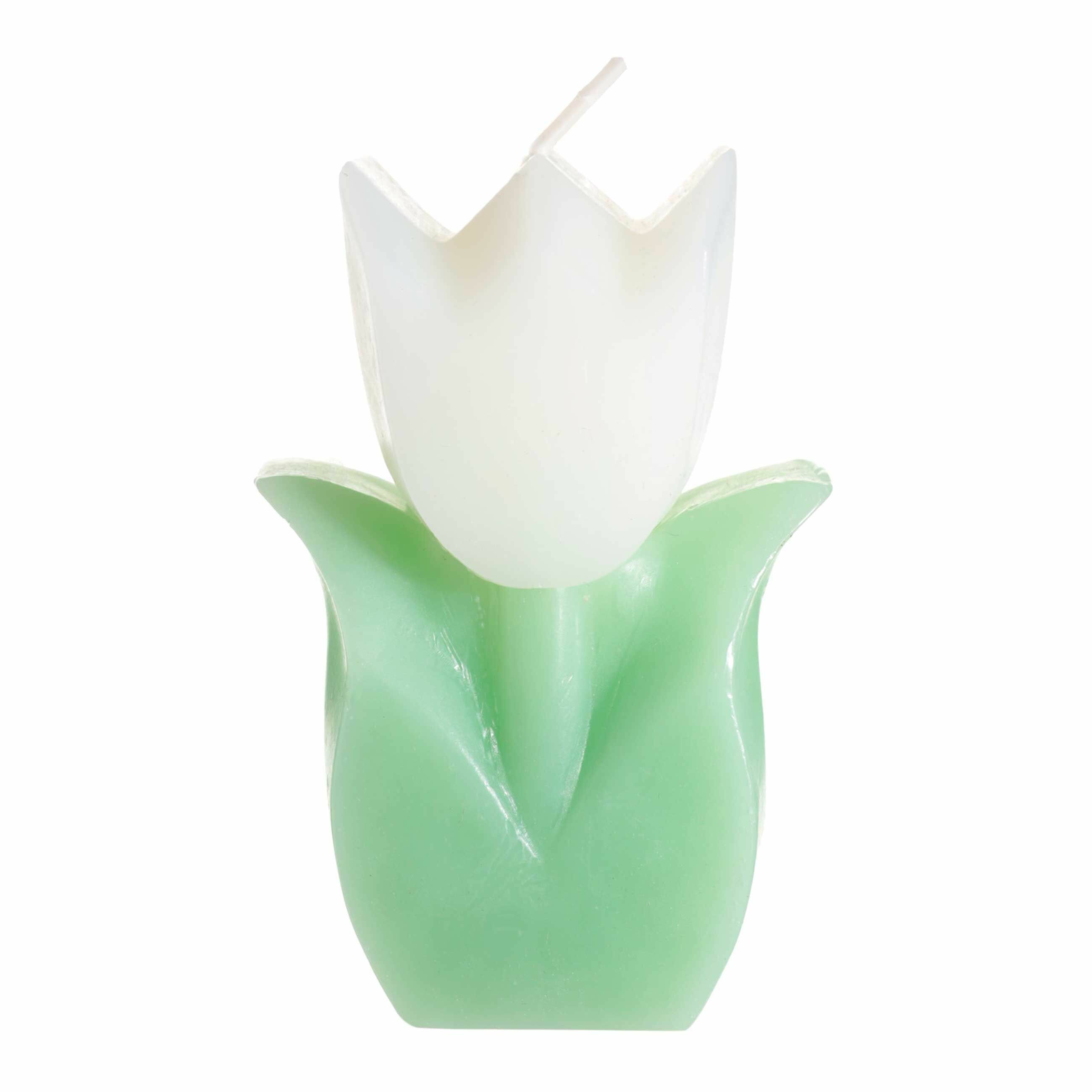 Свеча 10 см бело-зеленая Тюльпан Tulip garden