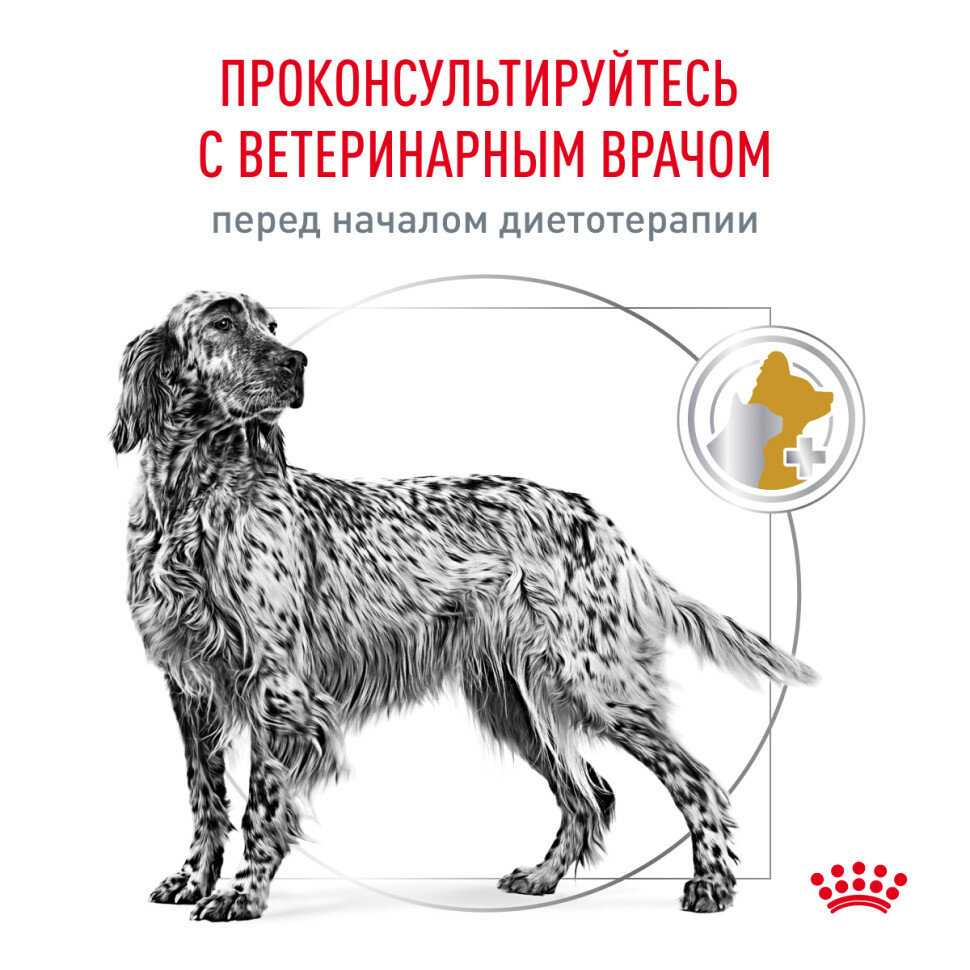 Корм сухой для взрослых собак при лечении и профилактике мочекаменной болезни Urinary s/o LP 18 Royal Canin/Роял Канин 2кг РУСКАН Москва-ЮГ ООО RU - фото №9