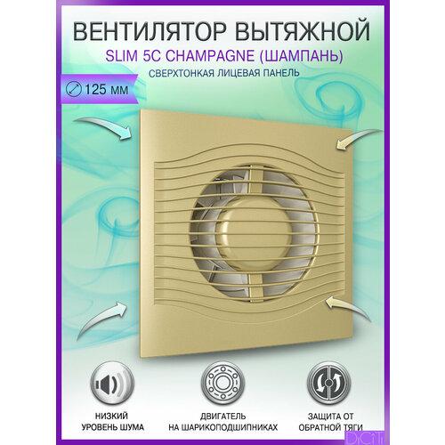фото Вентилятор вытяжной diciti slim 5c champagne, с обратным клапаном, d 125 мм