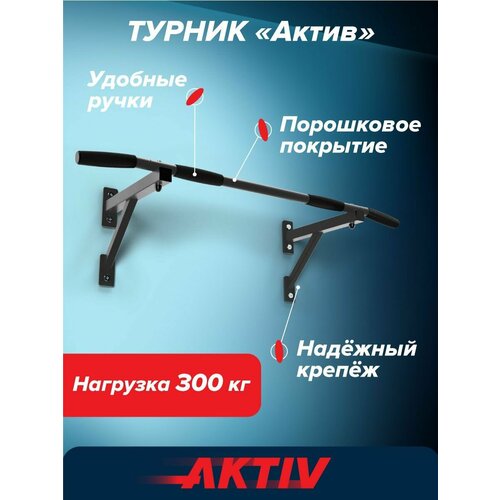 Турник настенный Aktiv разборный графит Absolute Brilliance