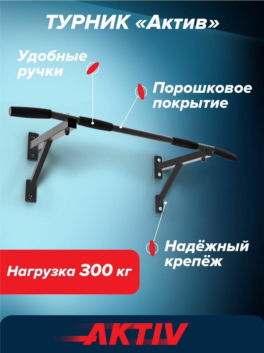 Турник настенный Aktiv разборный графит Absolute Brilliance