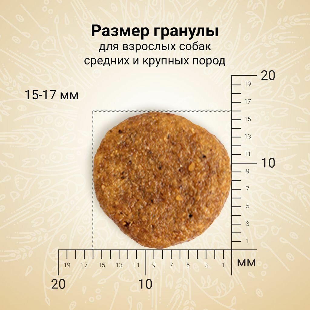 Сухой корм полнорационный для собак Craftia Natura для средних и крупных пород, из ягненка с перепелкой 640 г Crafita - фото №6