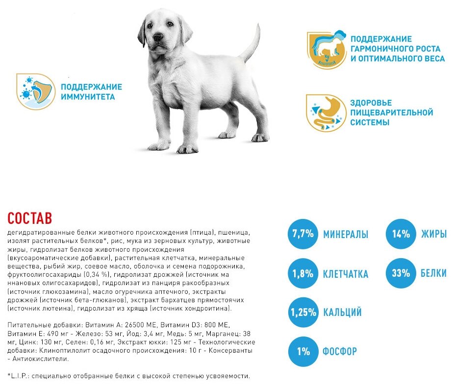 ROYAL CANIN LABRADOR RETRIEVER PUPPY для щенков лабрадор ретривер (12 кг) - фотография № 11