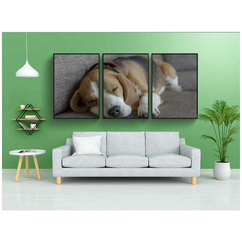 фото Набор модулных постеров для интерьера "гончая, собака, щенок" 60x90 см. в тубусе, без рамки lotsprints