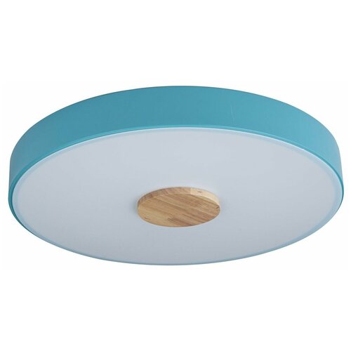 Потолочный светильник AMD-Light Funny kids AMD5043 Голубой