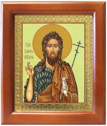 Предтеча и Креститель Господень Иоанн, икона в рамке 12,5*14,5 см