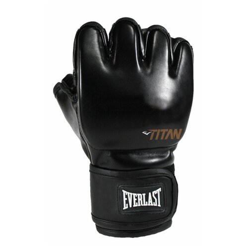 Перчатки тренировочные Everlast Titan SM черный