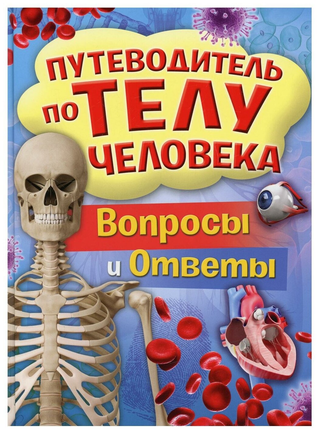 Путеводитель по телу человека. Вопросы и ответы