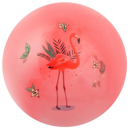 Купить Мяч детский «Фламинго», d=22 см, 60 г, цвета микс, нет бренда