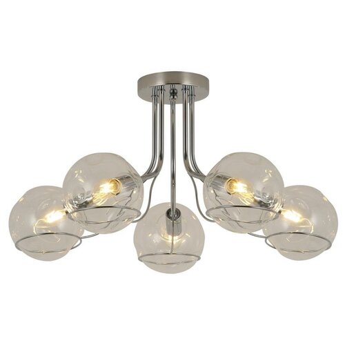 Потолочный светильник Evo Luce SLE102502-05