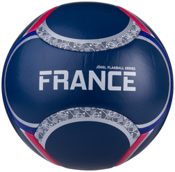 Мяч футбольный Flagball France 5