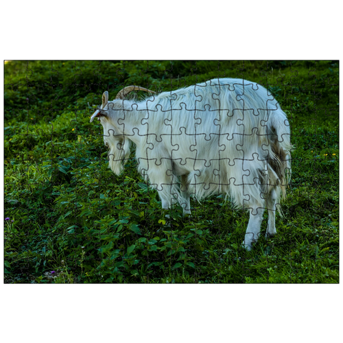 фото Магнитный пазл 27x18см."козел, рога, ферма" на холодильник lotsprints