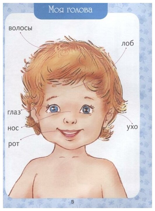 Первая книга малыша. Энциклопедия для детей от 6 месяцев и старше - фото №4