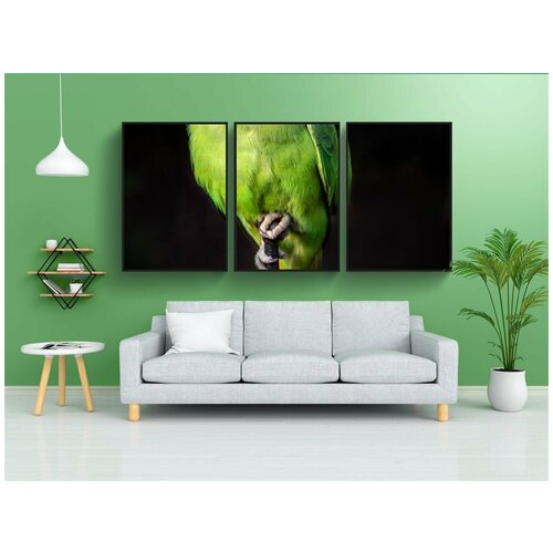 фото Набор модулных постеров для интерьера "попугай, птица, разноцветный" 60x90 см. в тубусе, без рамки lotsprints