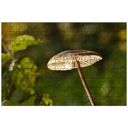 фото Магнитный пазл 27x18см."лес, гриб, диск грибок" на холодильник lotsprints