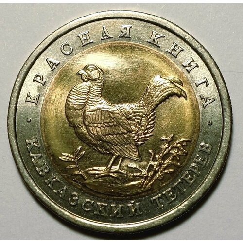 Монета 50 рублей 1993 Кавказский Тетерев UNC