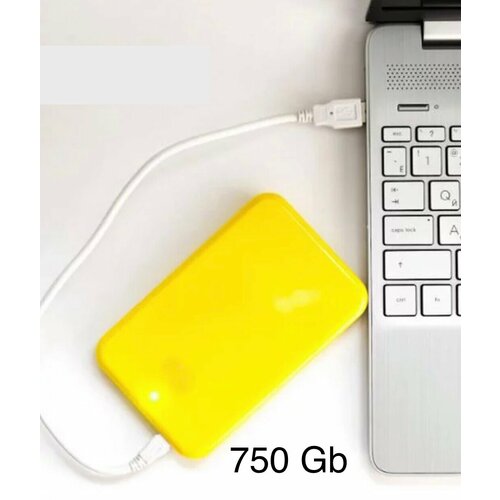 750 Gb Внешний жесткий диск