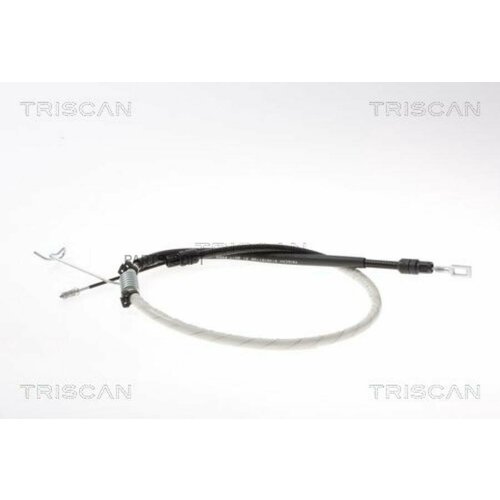 TRISCAN 8140161198 автозч
