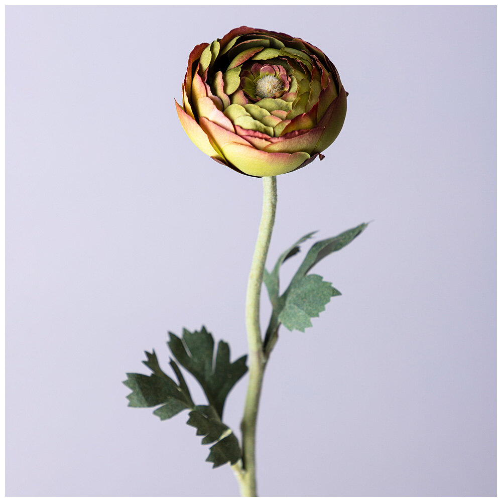 Lefard Цветок Ранункулюс (50 см)