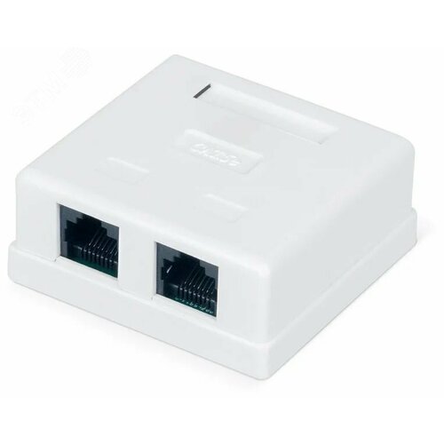 EKF TRP-WBOX-2RJ45-6UTP-WH Розетка настенная TERACOM PRO Cat.6 неэкранированная 2 порта RJ-45 Dual IDC белая розетка lanmaster настенная 2 порта rj 45 категории 6 utp белая