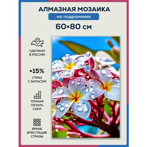 Алмазная мозаика 60x80 Цветы роса на подрамнике