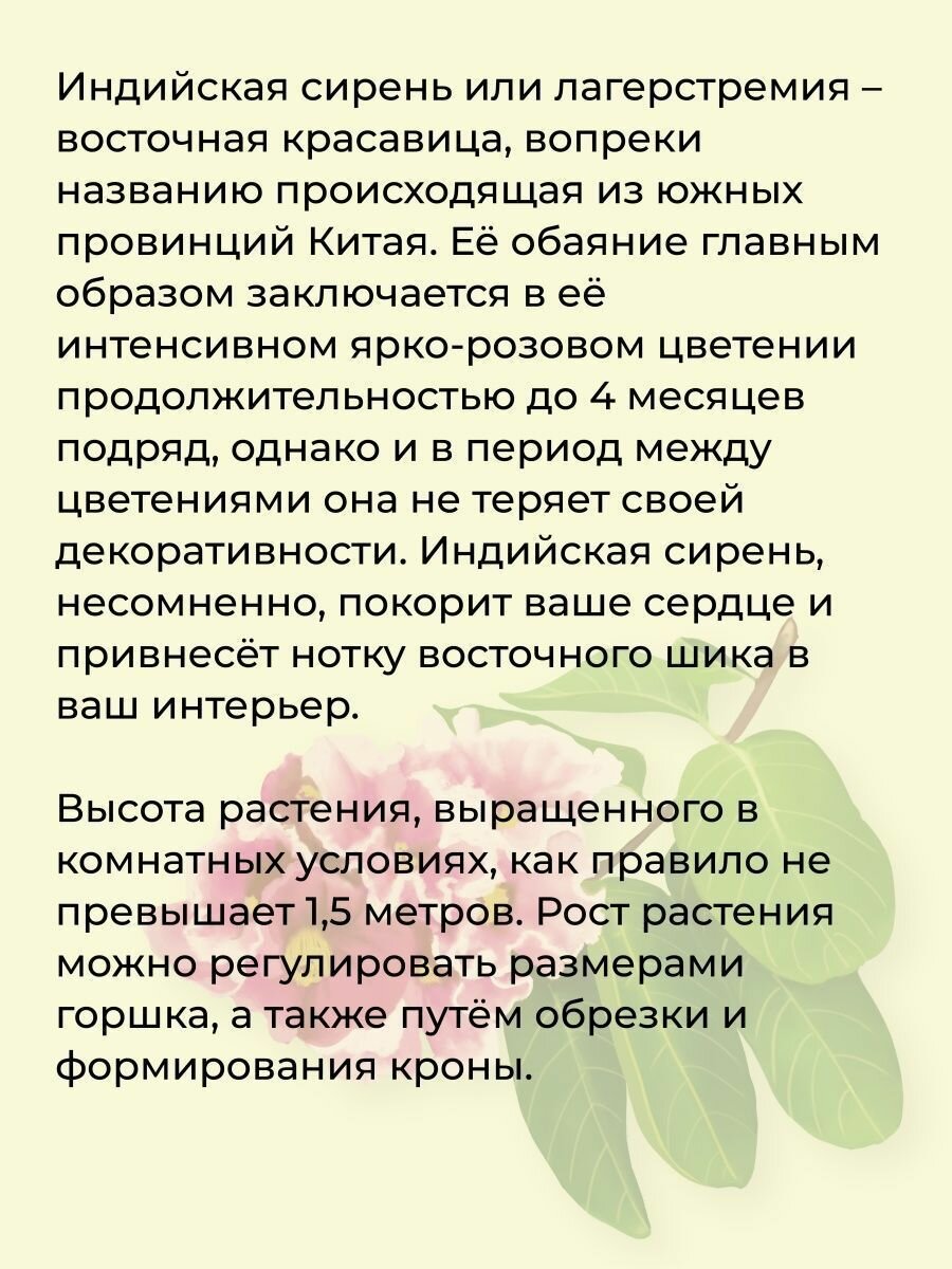 Набор для выращивания растений и цветов в горшке для дома