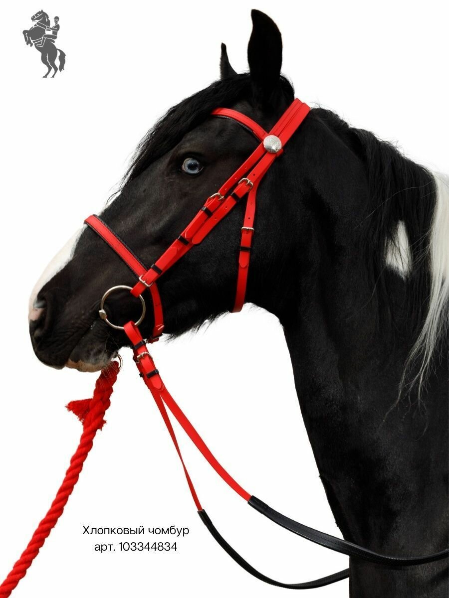 Sweethorse / Оголовье с капсюлем + повод + трензель, красный — фото 1