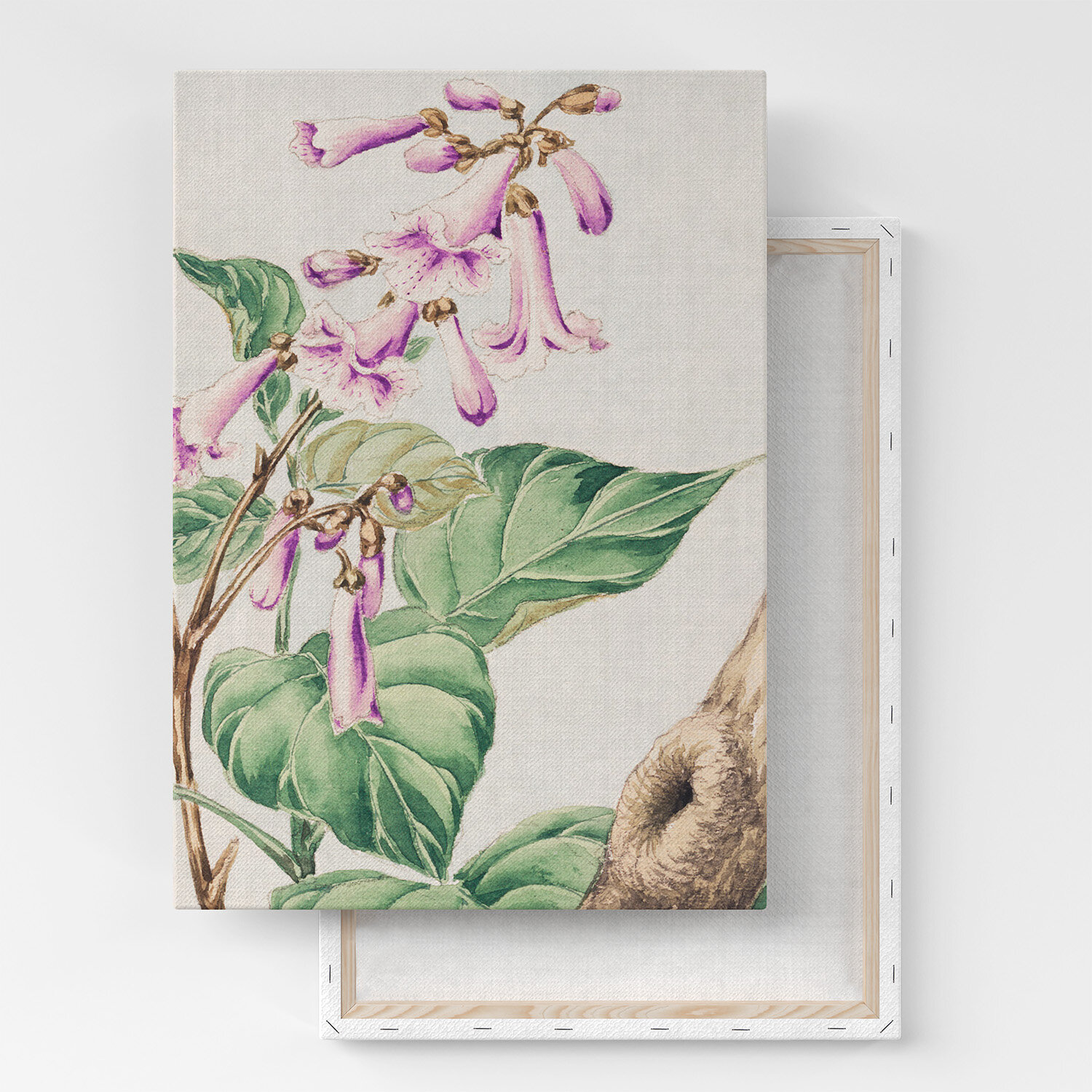 Картина на холсте, репродукция / Мегата Морикага - Kiri branch with flowers and leaves / Размер 30 x 40 см