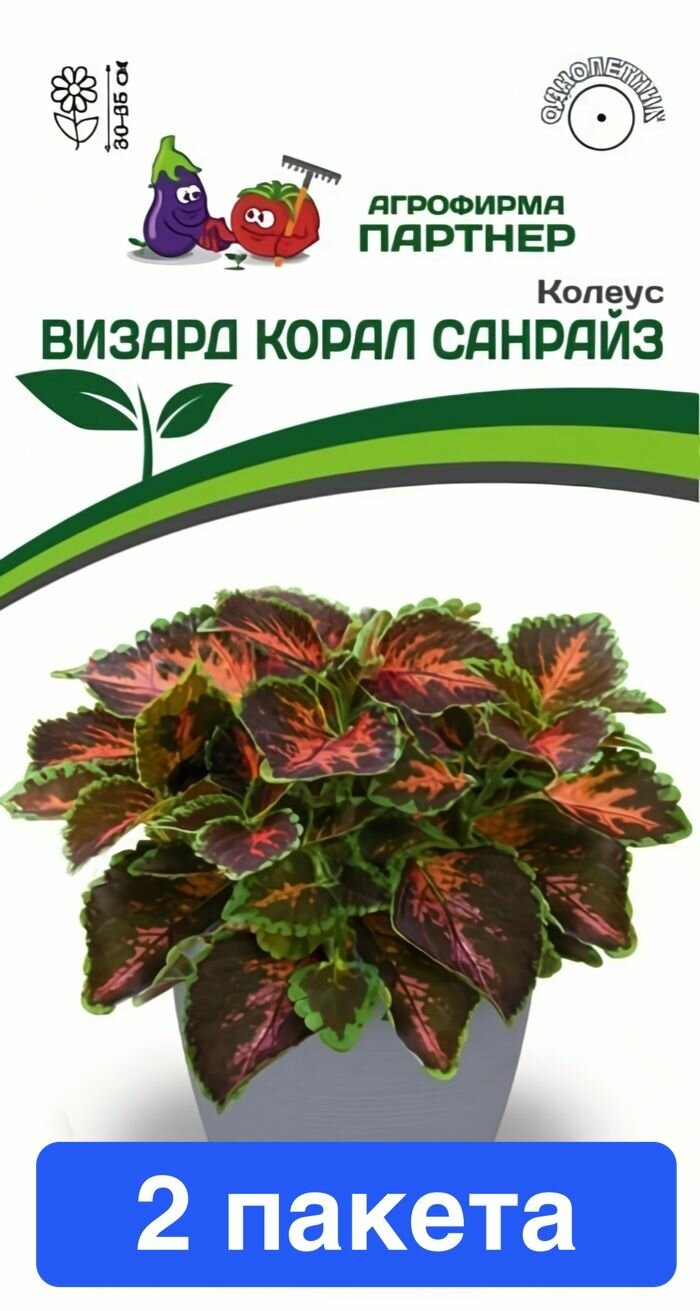 Семена цветов Агрофирма Партнер "Колеус Визард Корал Санрайз", 2 пакета