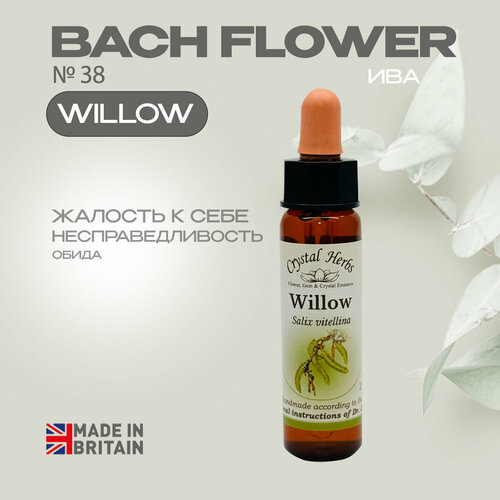 Цветы Баха, эссенция №38 Willow (Ива) Виллоу - капли 10 мл. Англия