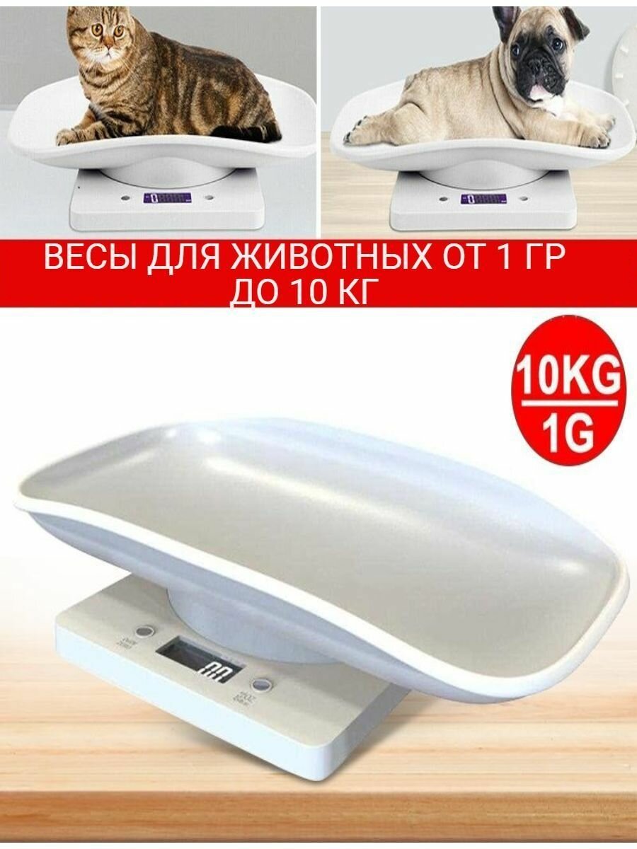 Весы для домашних животных точные электронные кухонные весы для кошек собак хомяков птиц и рептилий многофункциональные весы с поддоном до 10 кг подсветка и переключение единиц измерения