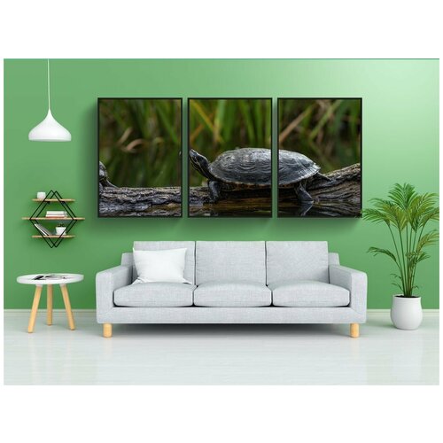 фото Набор модулных постеров для интерьера "природа, дикая природа, животное" 60x90 см. в тубусе, без рамки lotsprints