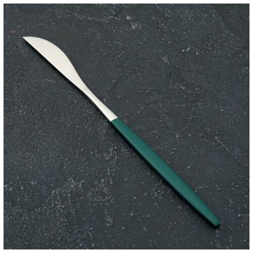 Нож столовый Magistro «Блинк», 22 см, цвет серебряный, зелёная ручка, на подвесе (1 шт.)