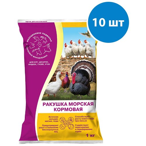 Ракушка Морская кормовая 1кг, 10 штук