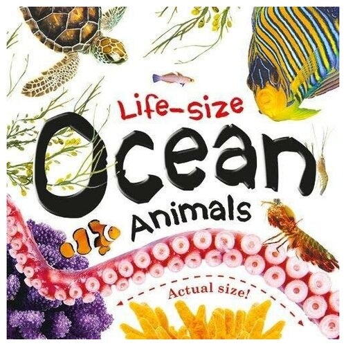 Life-size. Ocean Animals