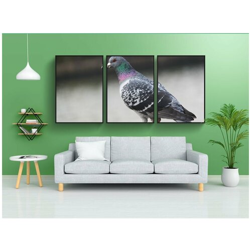 фото Набор модулных постеров для интерьера "птица, голубь, красивая" 60x90 см. в тубусе, без рамки lotsprints