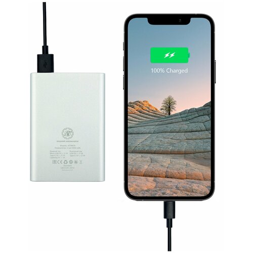 Внешний аккумулятор Power Bank 5000 mAh Компактный размер 2 USB USB Type-C 103900₽