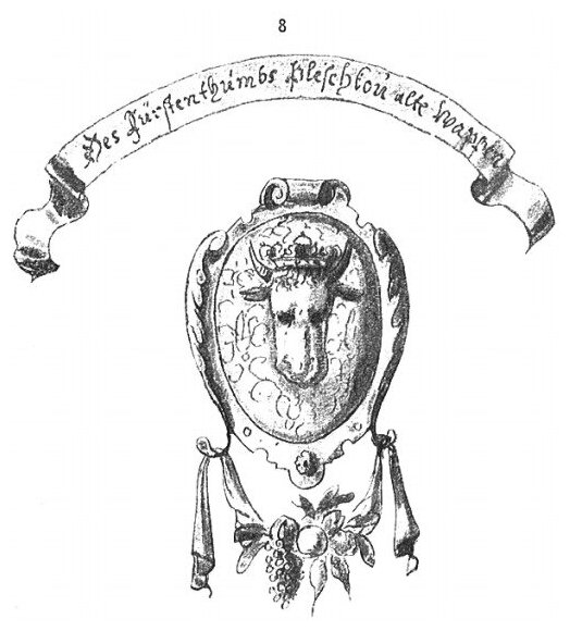 Книга Альбом Мейерберга, Виды и Бытовые картины России Xvii Века - фото №8