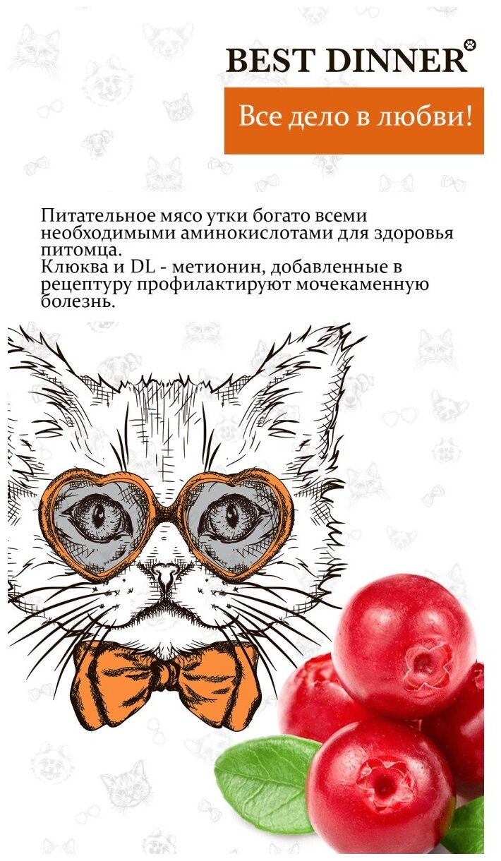 Сухой корм для кошек Best Dinner/Бест Диннер Эдалт с Уткой и Клюквой - 1,5 кг - фотография № 10