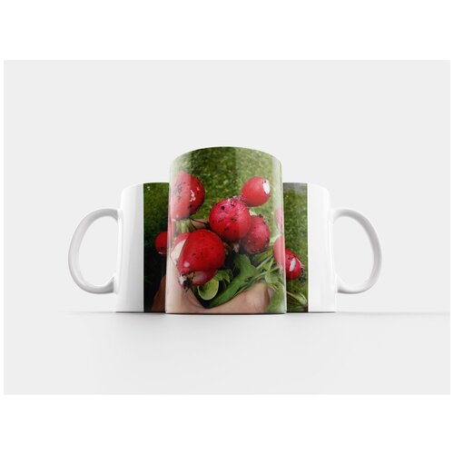 фото Кружка "редис, розовый, овощи" 320 мл lotsprints