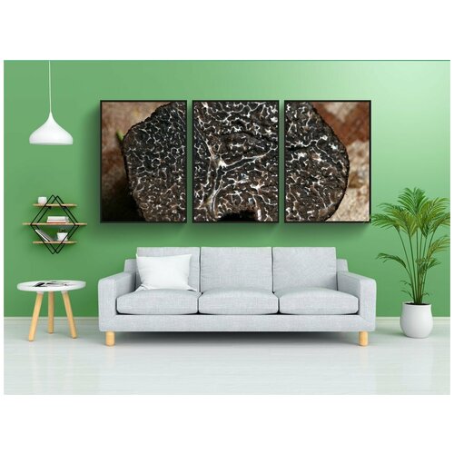 фото Набор модулных постеров для интерьера "зимний трюфель, клубня brumale, трюфель" 60x90 см. в тубусе, без рамки lotsprints