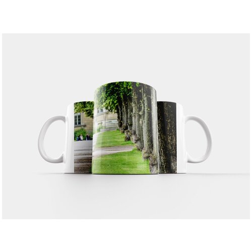 фото Кружка "деревья, парк, городской" 320 мл lotsprints