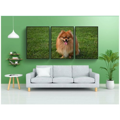 фото Набор модулных постеров для интерьера "пес, шпиц, улыбка" 60x90 см. в тубусе, без рамки lotsprints