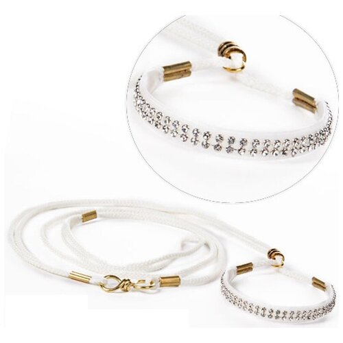 Ринговка для собак 