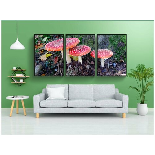 фото Набор модулных постеров для интерьера "поганка, гриб, падение" 60x90 см. в тубусе, без рамки lotsprints