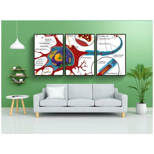 фото Набор модулных постеров для интерьера "красный, наука, диаграмма" 60x90 см. в тубусе, без рамки lotsprints