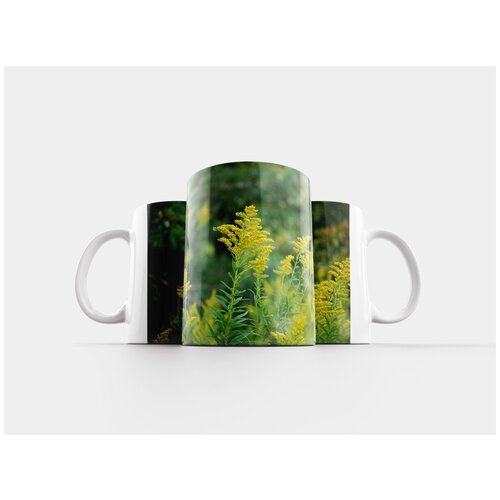 фото Кружка "растения, зеленый, рост" 320 мл lotsprints