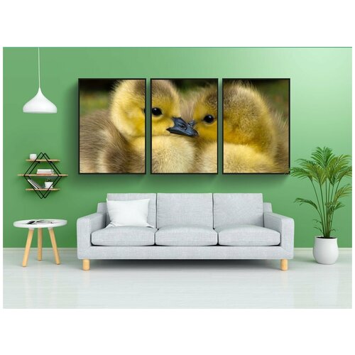 фото Набор модулных постеров для интерьера "утята, пара, птицы" 60x90 см. в тубусе, без рамки lotsprints