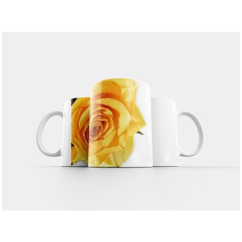 фото Кружка "лишайник, природа, напиток" 320 мл lotsprints