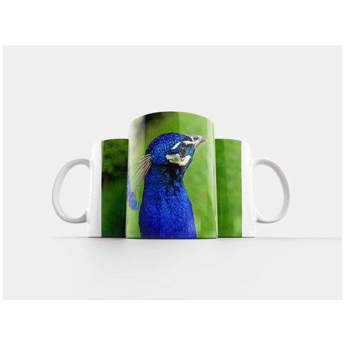 фото Кружка "павлин, голова, птица" 320 мл lotsprints